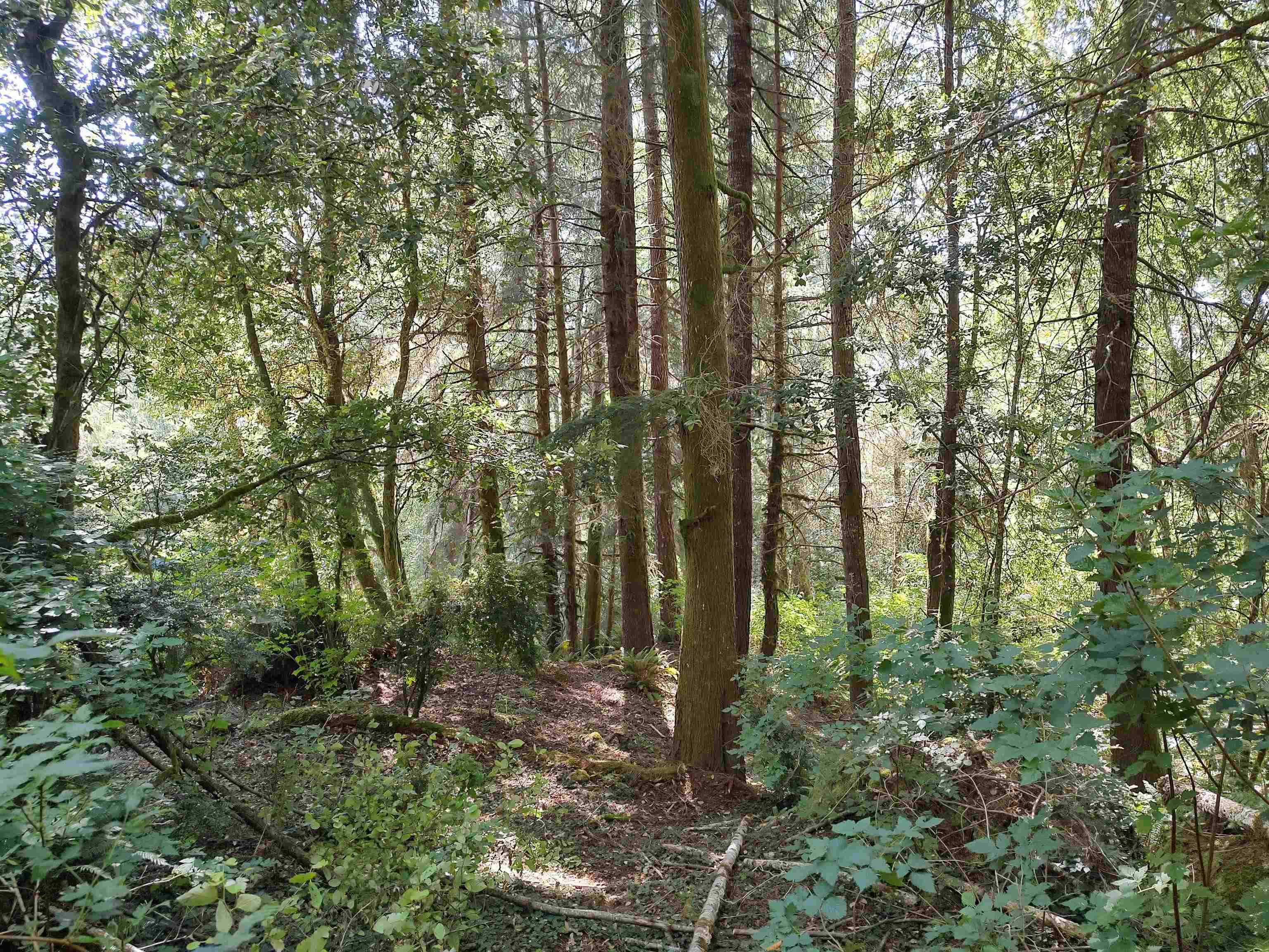 010 Reeves Drive