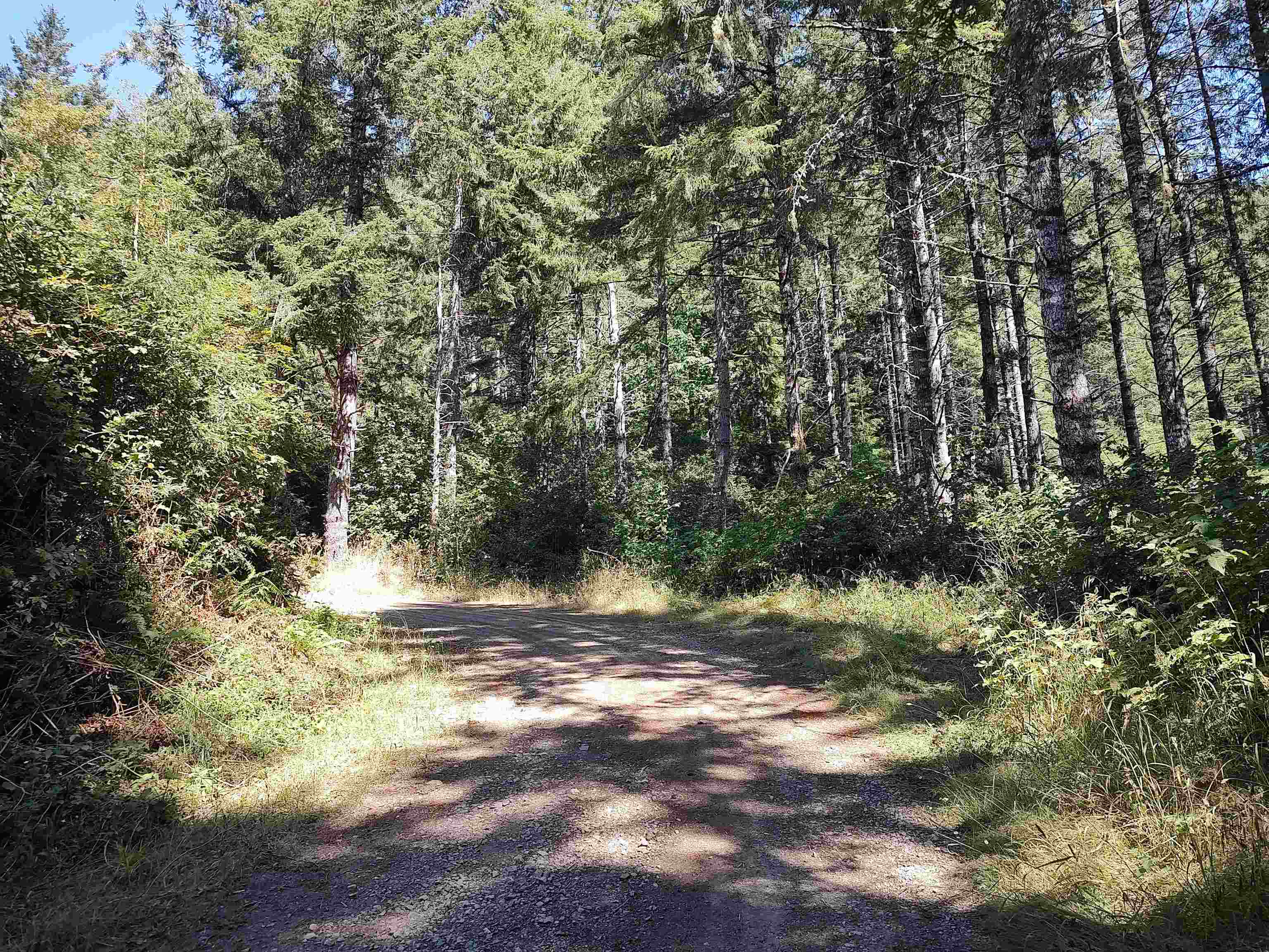 010 Reeves Drive