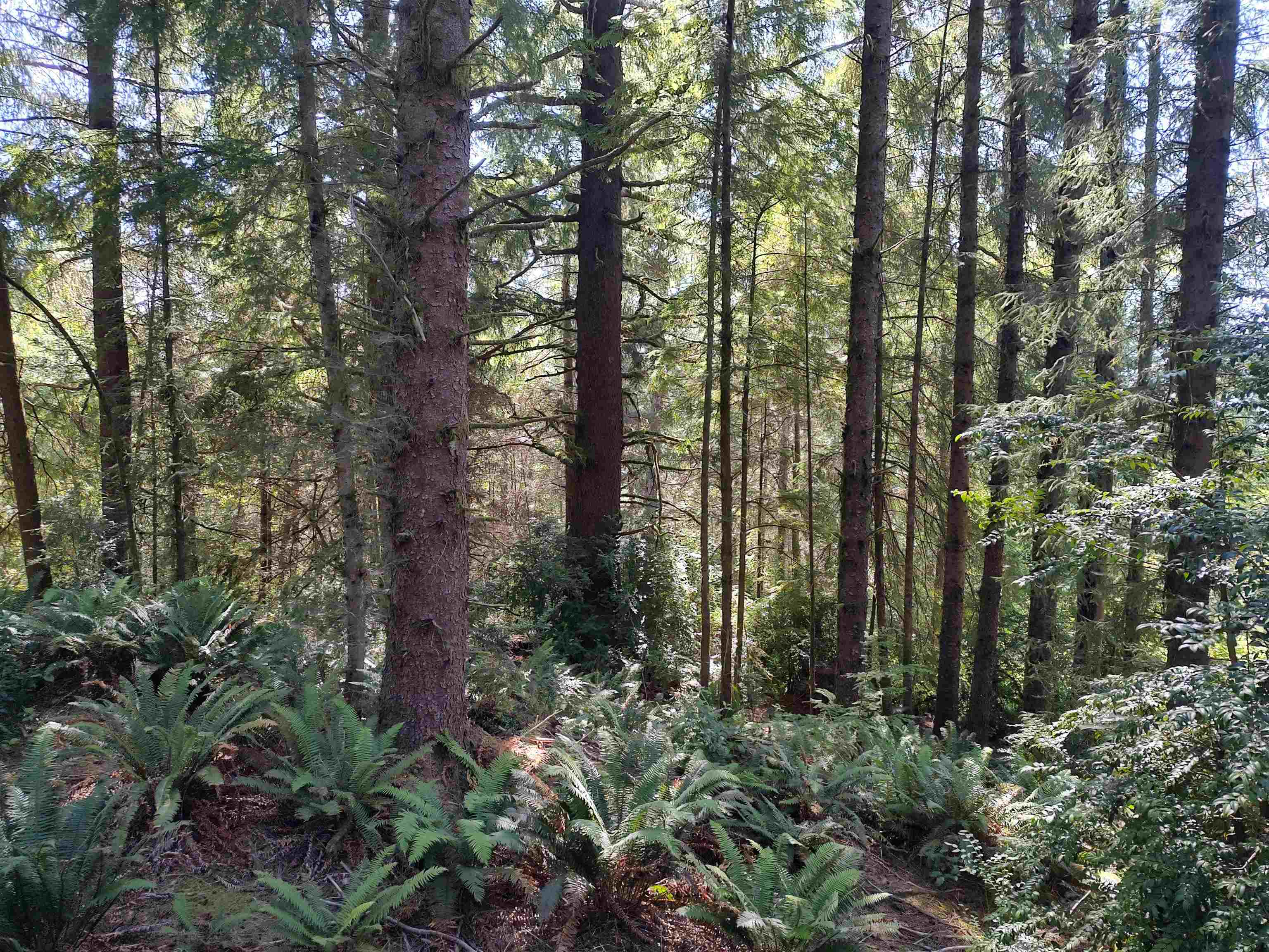 010 Reeves Drive
