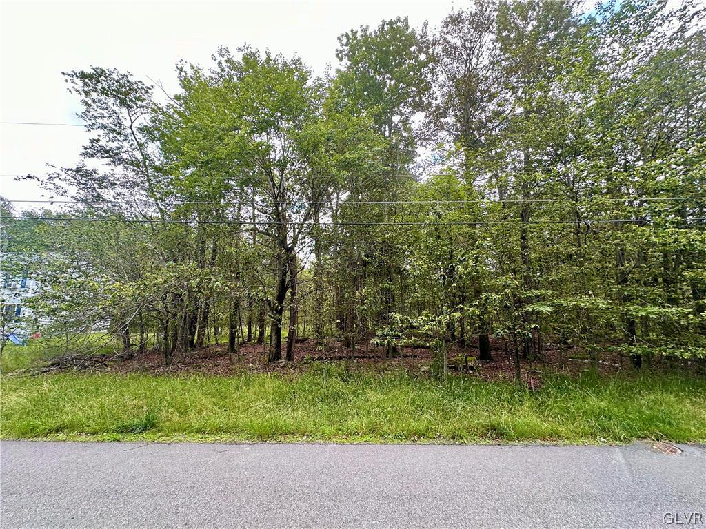 267 Birch Way