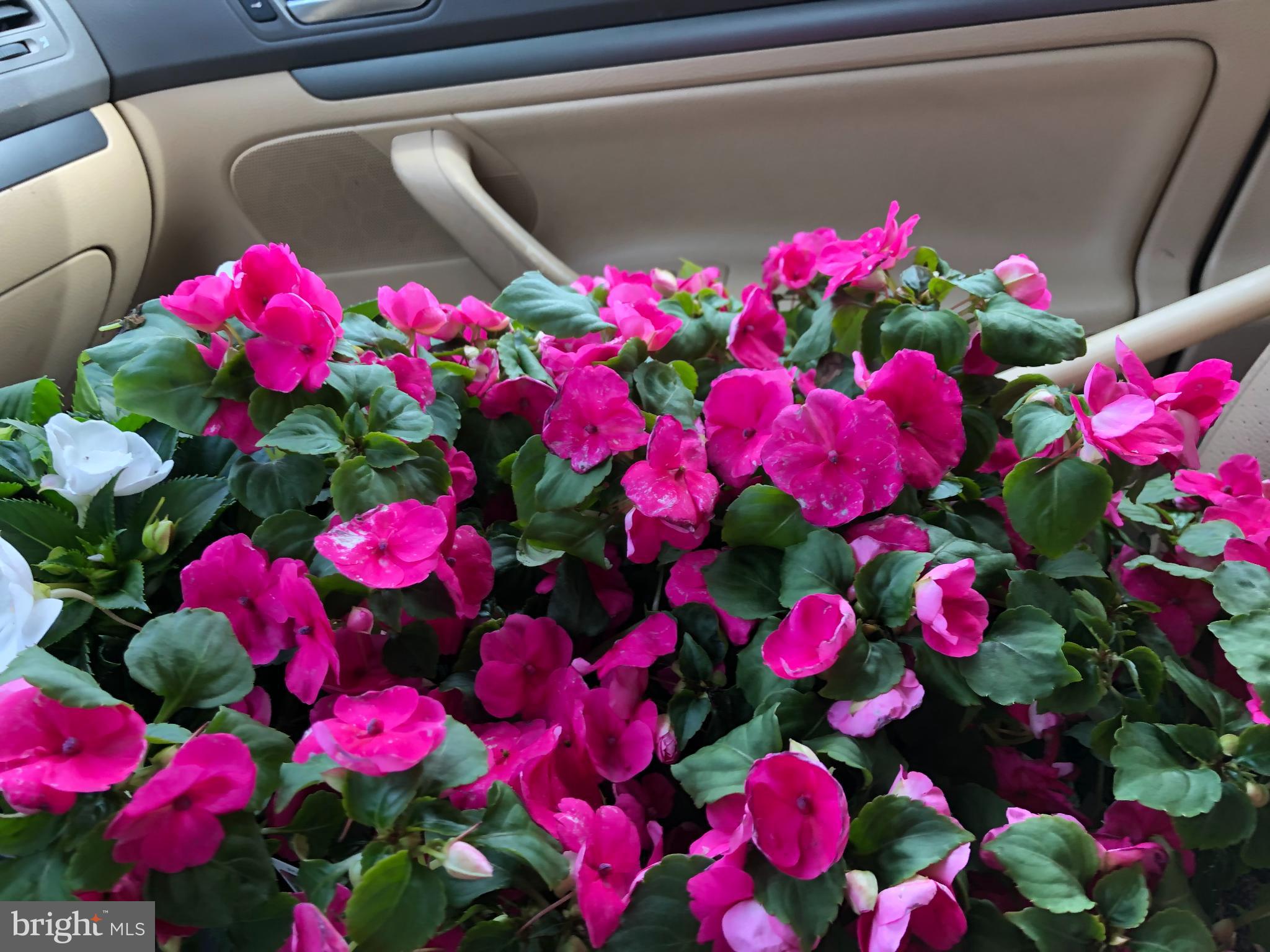 522 NW 21ST NW NW 1003