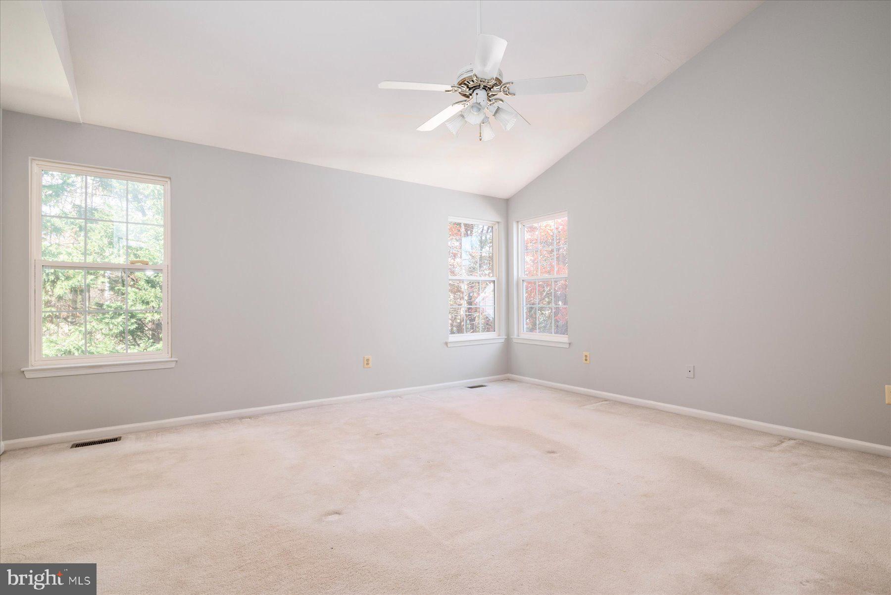 1202 Jewelweed PATH