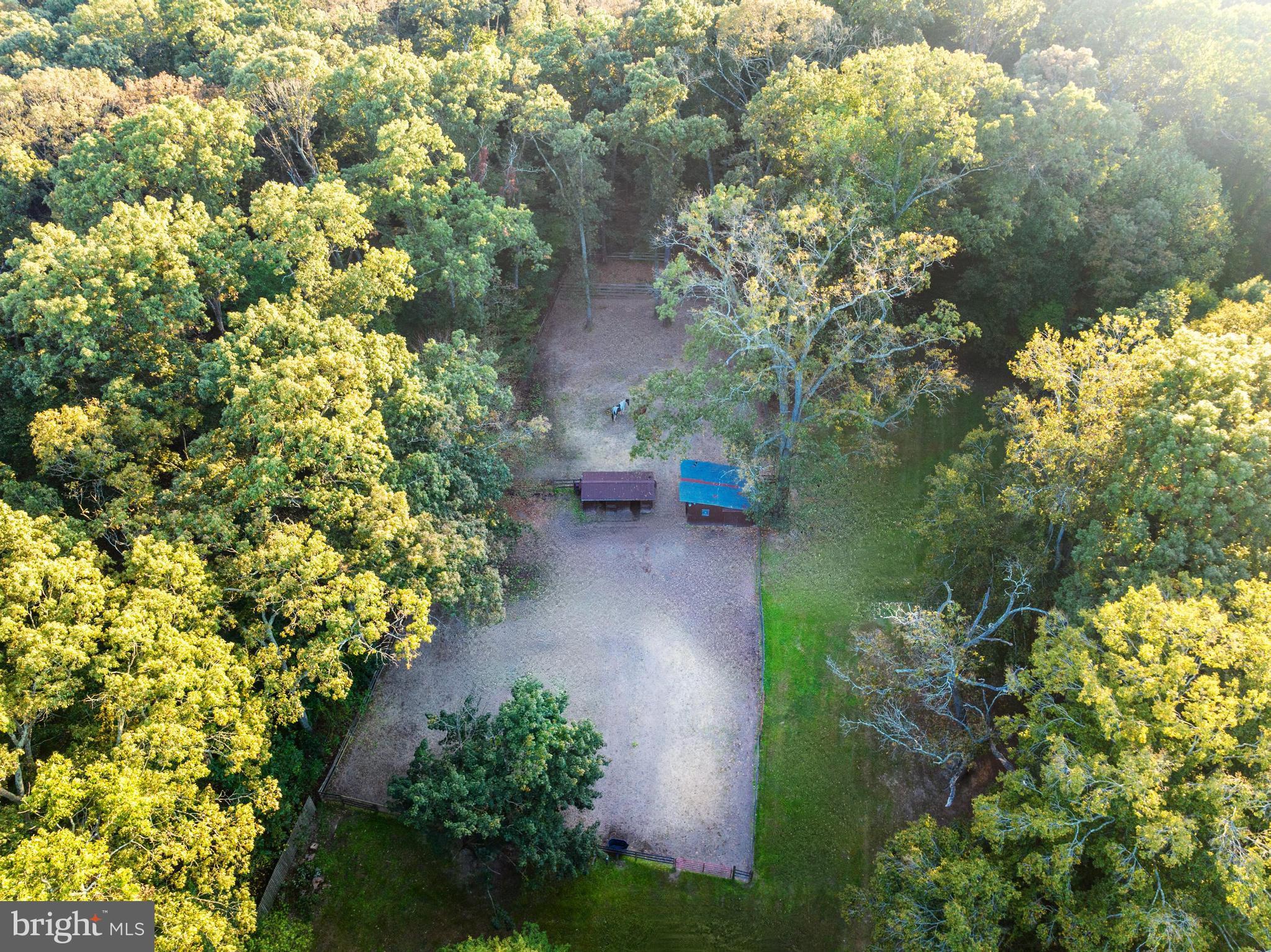 1709 Governor Bridge ROAD