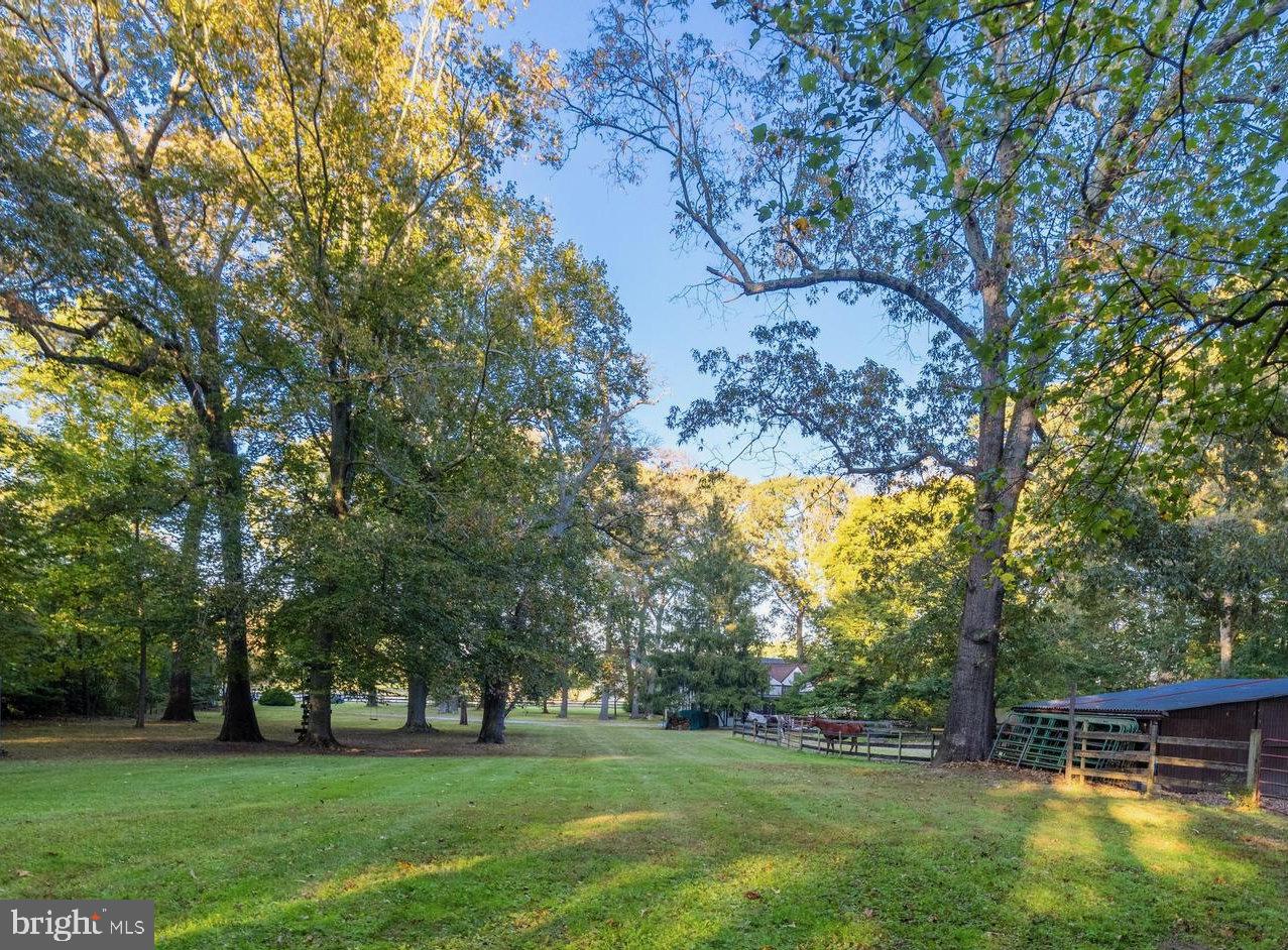 1709 Governor Bridge ROAD