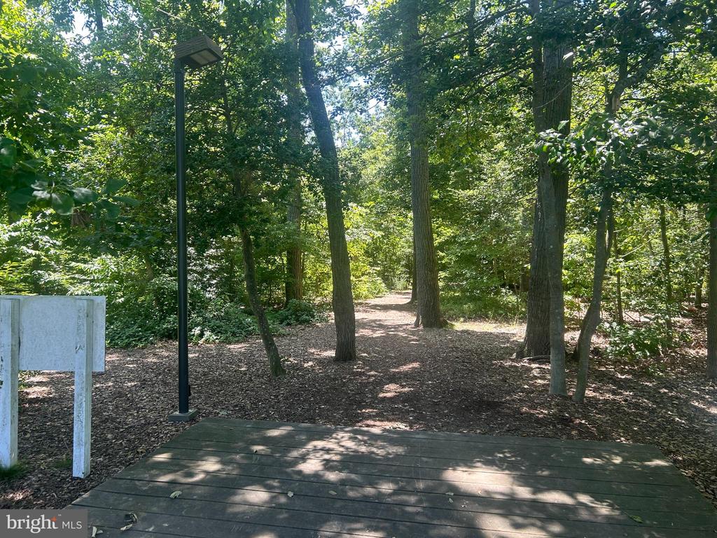 626 Snow Goose Ln
