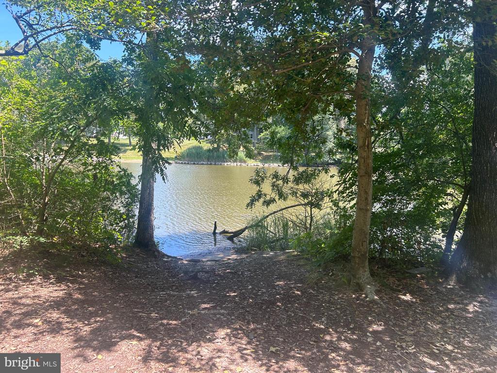 626 Snow Goose Ln