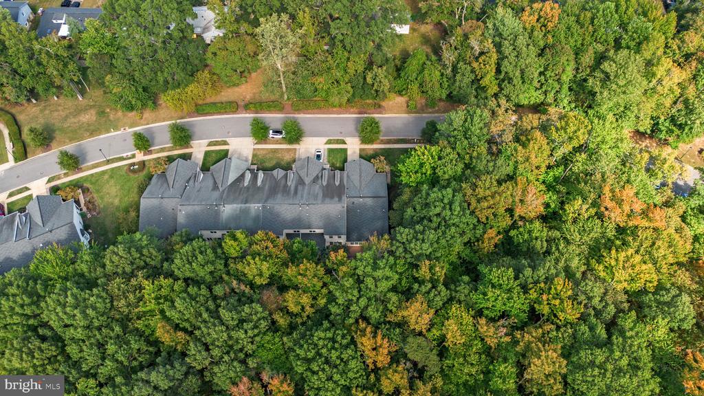 344 COLONY POINT PLACE