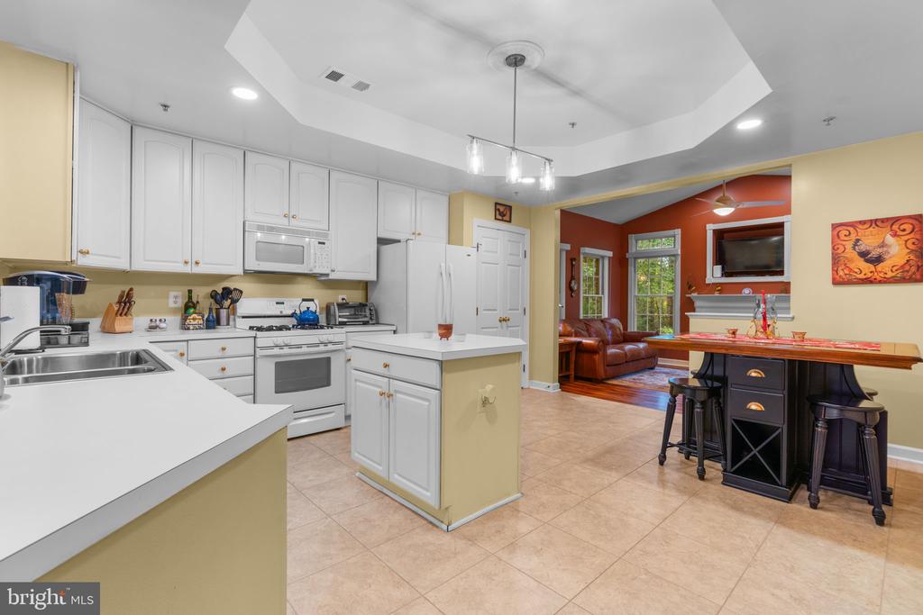 344 COLONY POINT PLACE