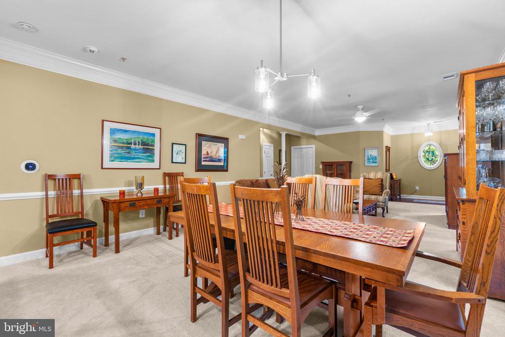 344 COLONY POINT PLACE