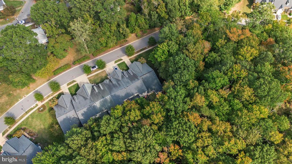 344 COLONY POINT PLACE