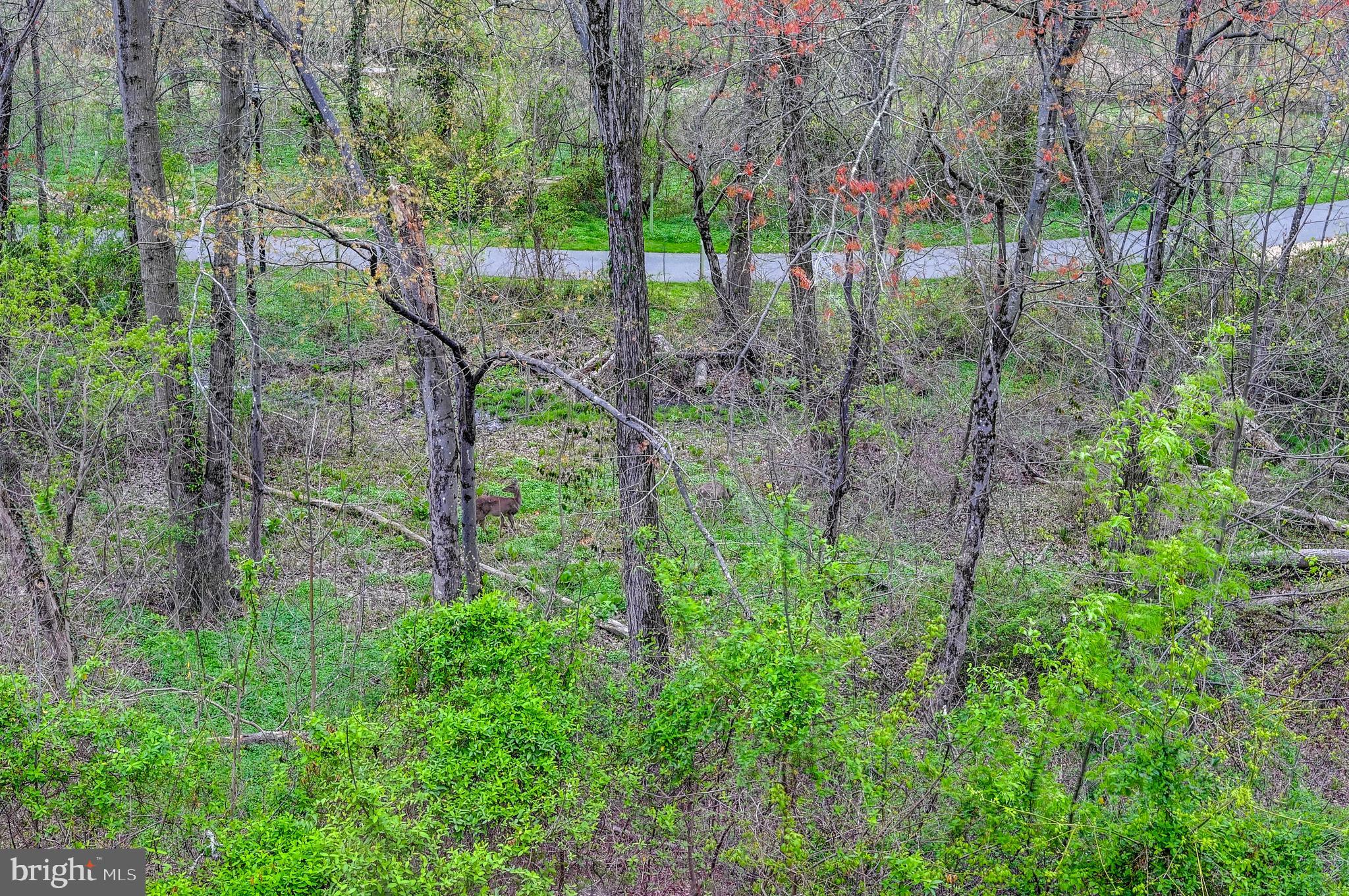 5554 Vantage Point Rd