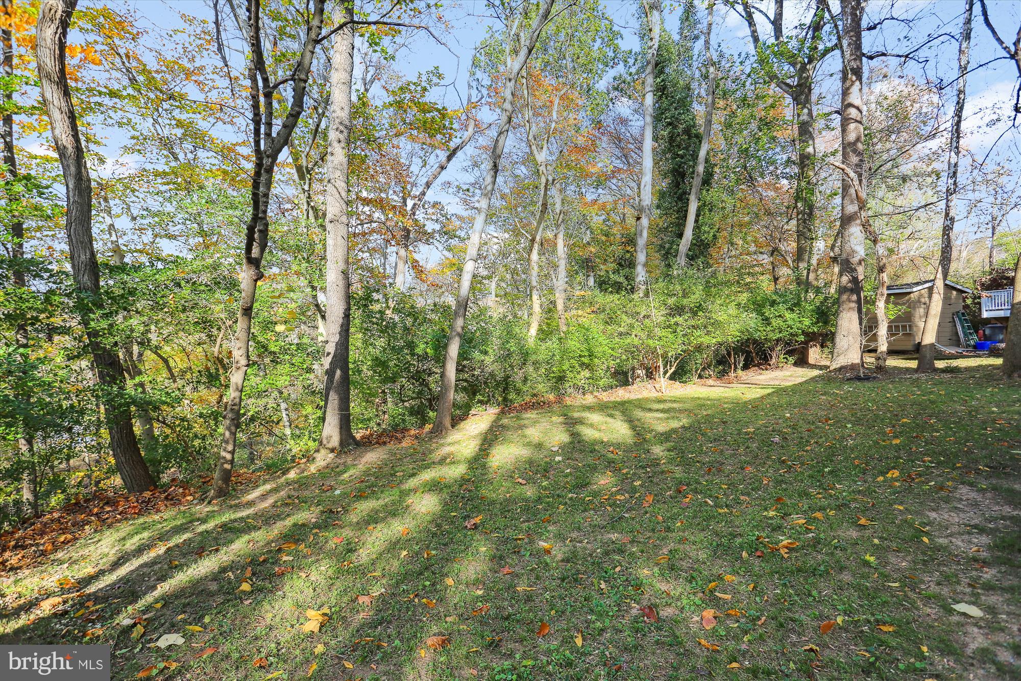 4127 Plyers Mill ROAD