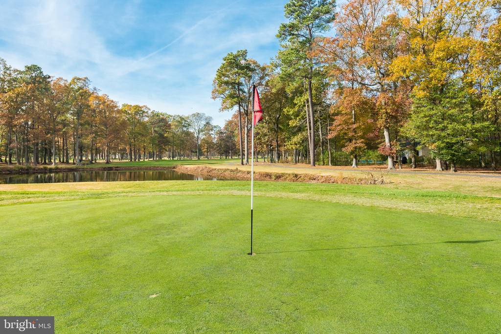 4 BUNKERS COURT