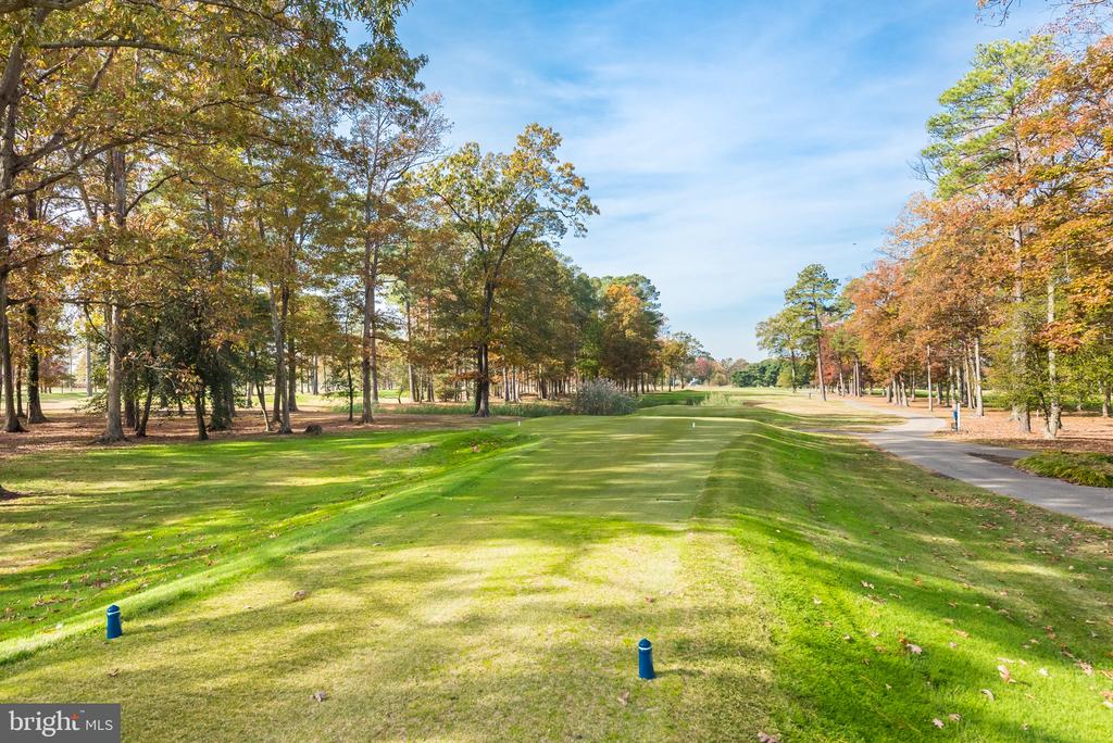 4 BUNKERS COURT