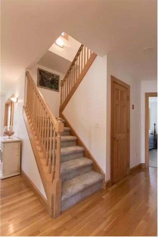 9 Rosita Avenue