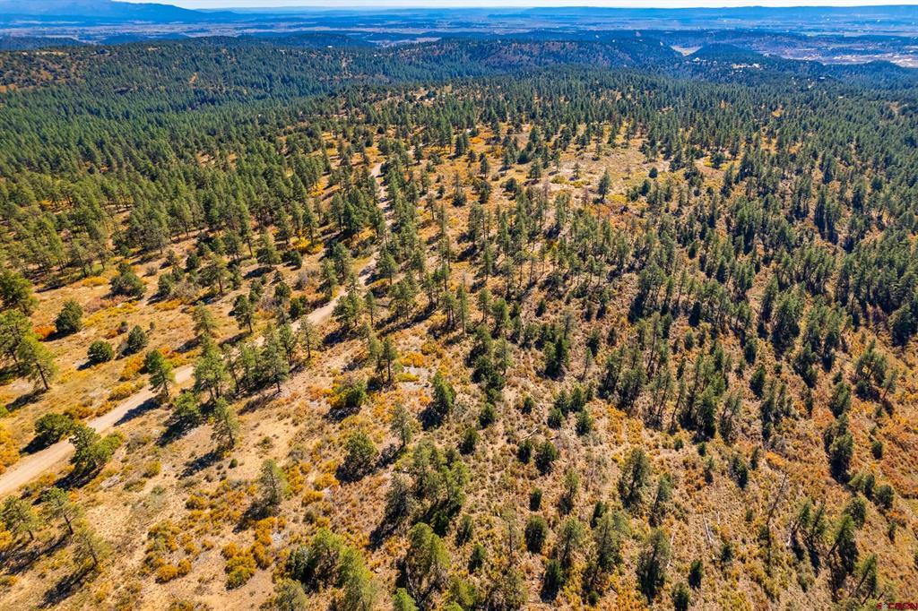 Aerial view of wooded land with golden clearings and distant mountain ranges.
