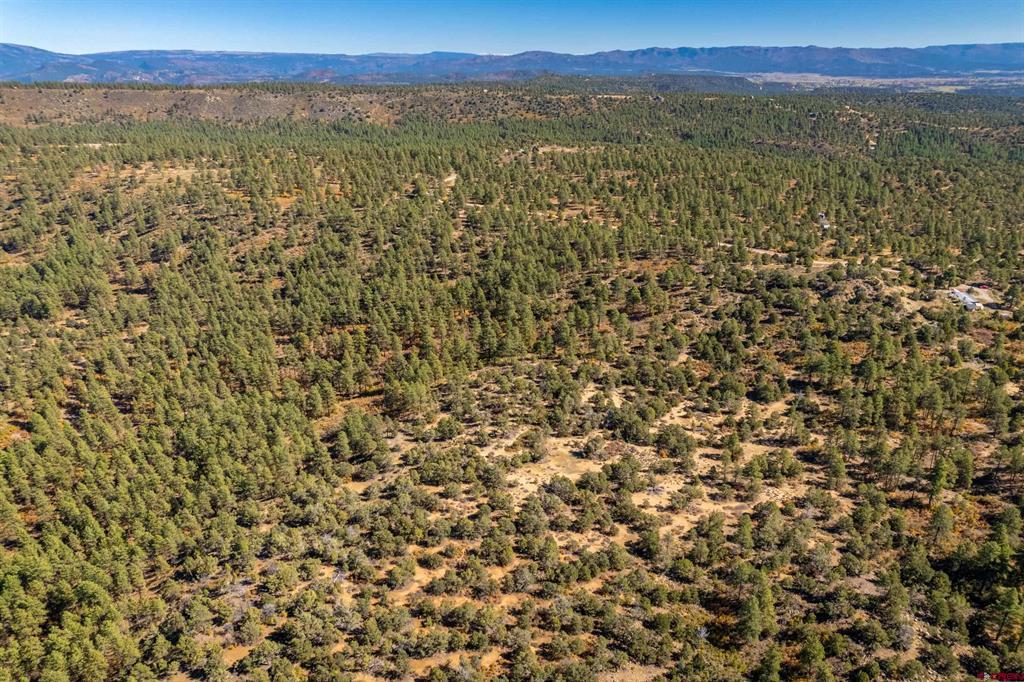 Wooded vacant land with scattered clearings and distant mountain views.