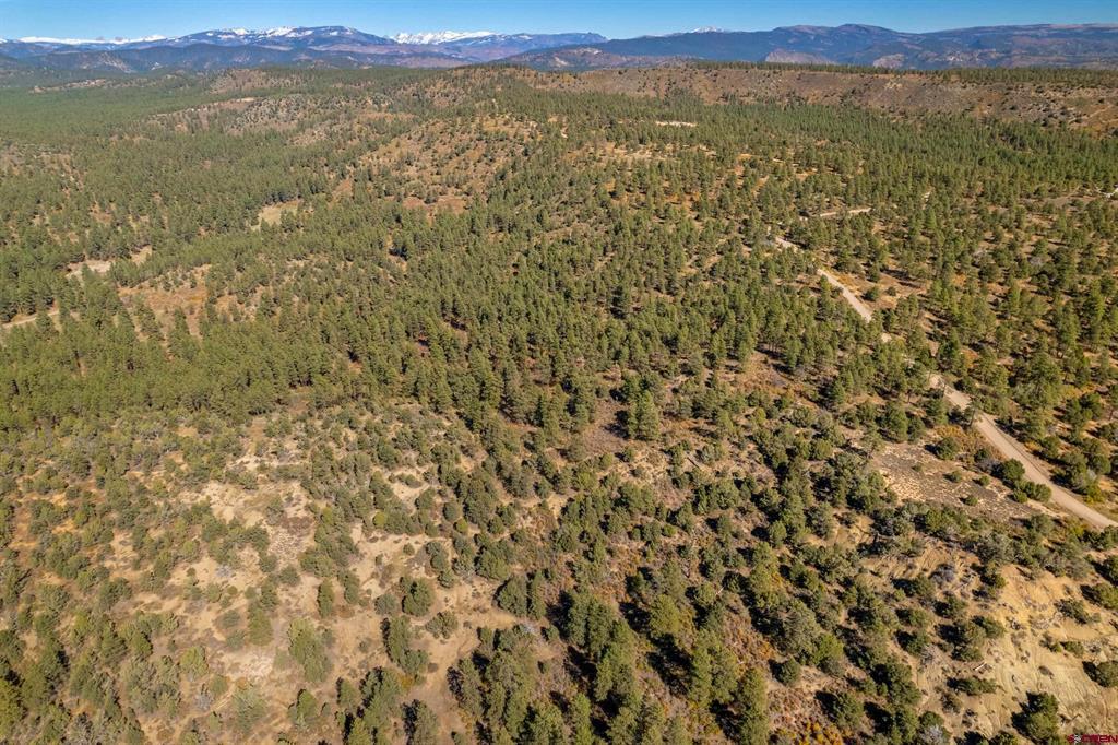 Aerial view of wooded land with scattered clearings, a dirt road, and distant snowy mountains.