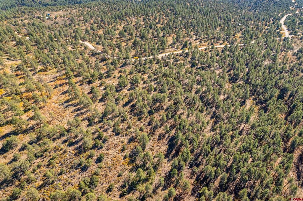 Aerial view of wooded land with scattered clearings and dirt roads.