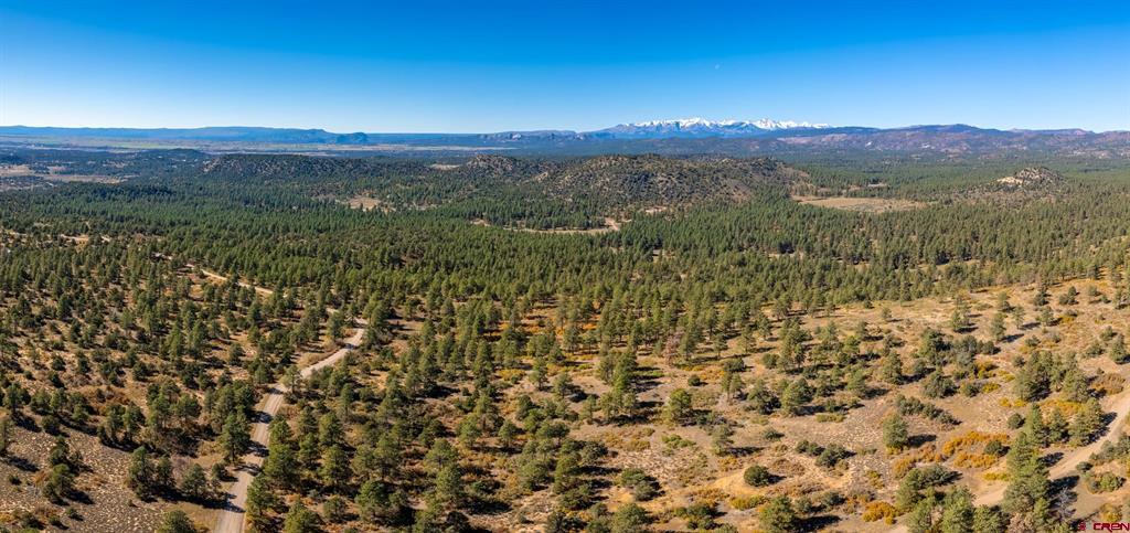 Aerial view of forested hills and roads, with distant mountains on the horizon.