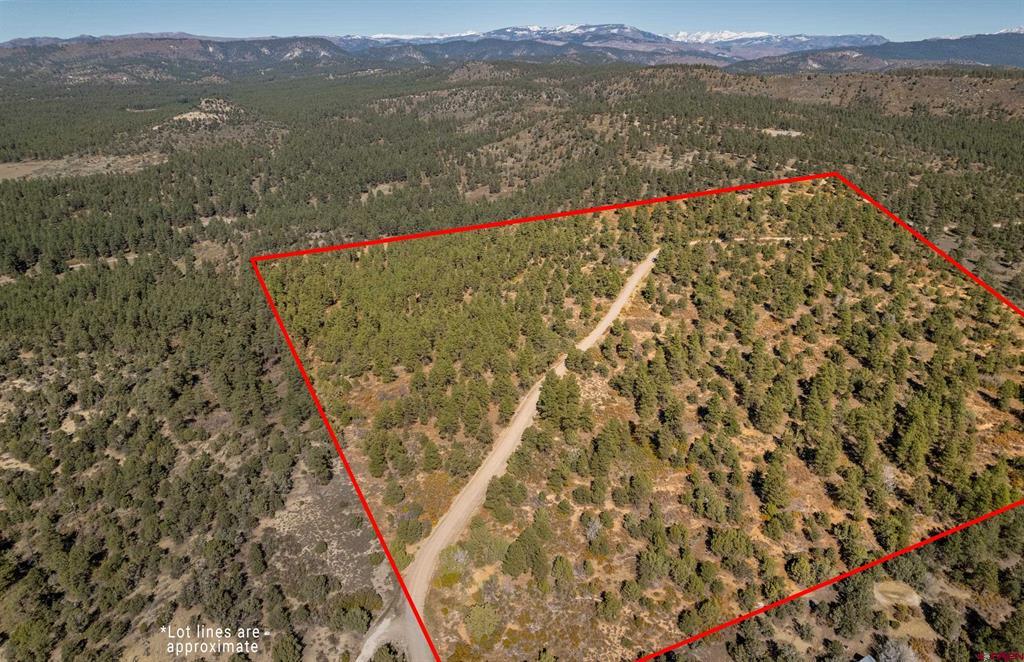 Aerial view of a wooded parcel outlined in red, with a dirt road and distant mountains.