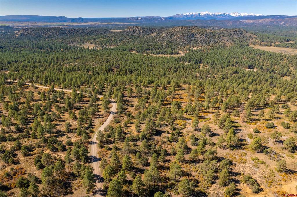 Aerial view of wooded land with a winding dirt road and snow-capped mountains in the distance.