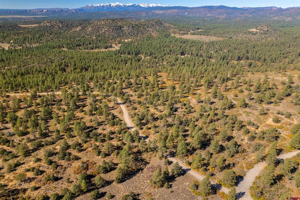 Aerial view of wooded land with winding dirt roads and snow-capped mountains in the distance.