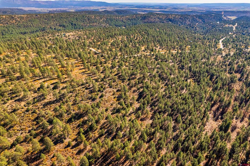 Aerial view of wooded ranch land with golden patches, a winding road, and distant mountains.