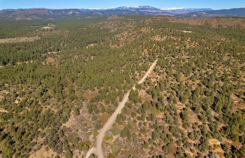 Aerial view of wooded ranch land with a winding dirt road and distant snow-capped mountains.