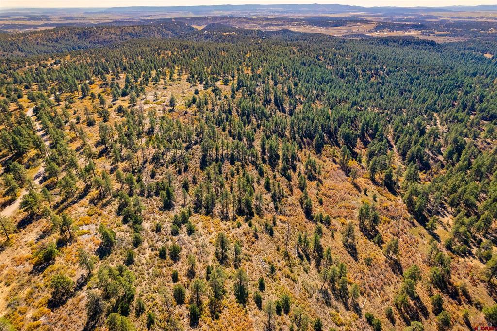 Aerial view of wooded land with golden brush and distant mountains.