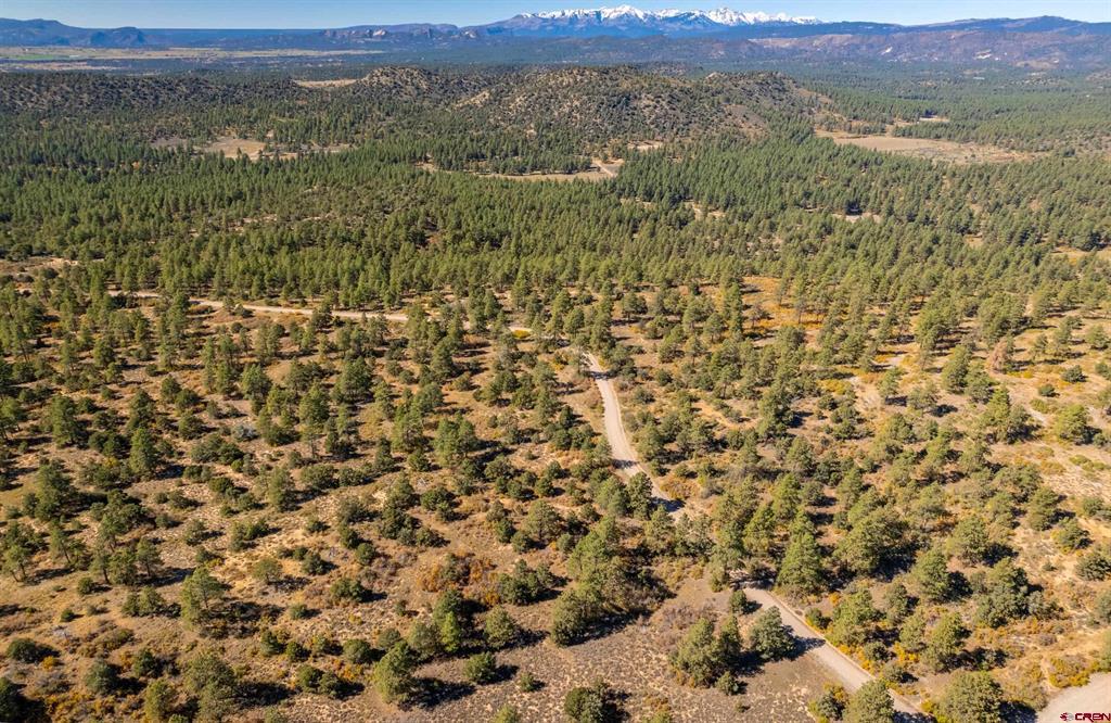 Aerial view of wooded land with a winding dirt road and distant snow-capped mountains.