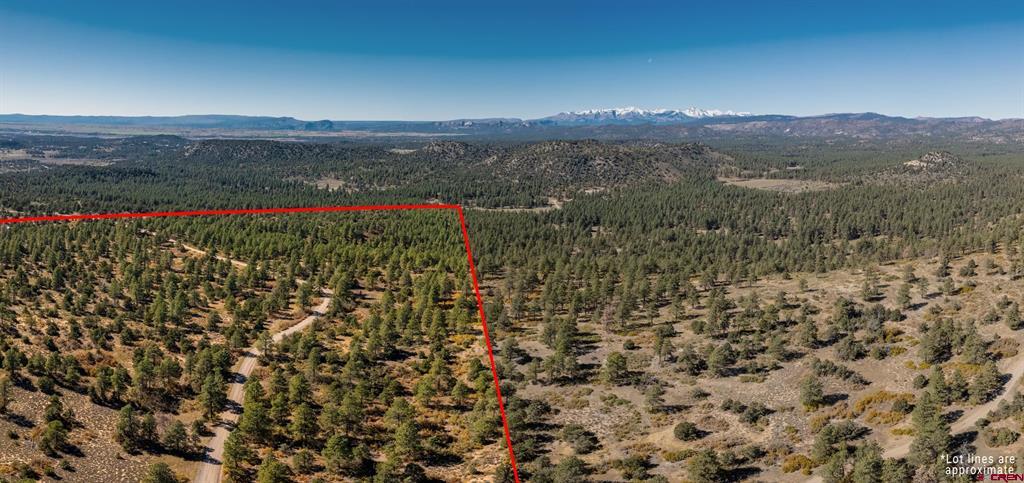 Aerial view of wooded ranch lot outlined in red, with distant snow-capped mountains.