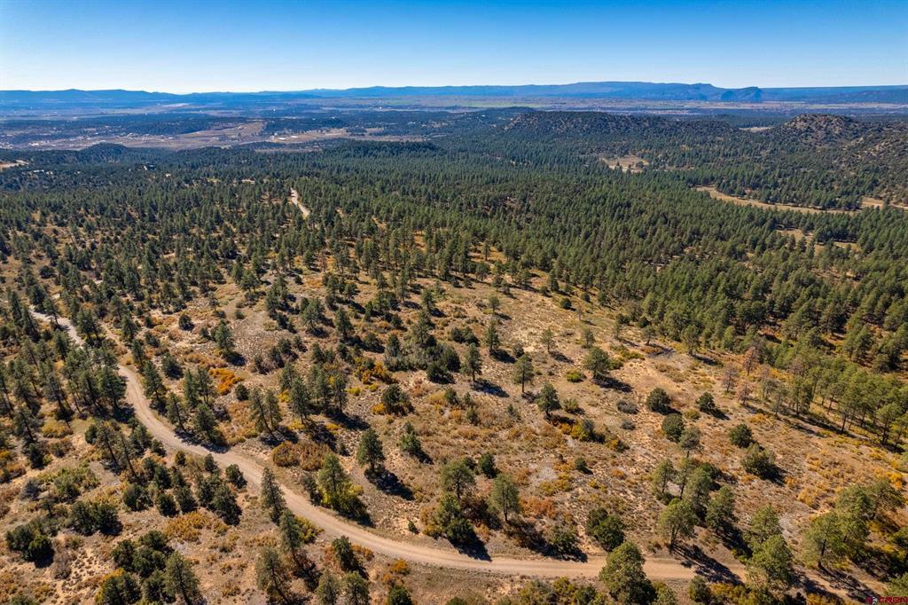 Aerial view of wooded acreage with open scrubland, dirt roads, and distant mountains.
