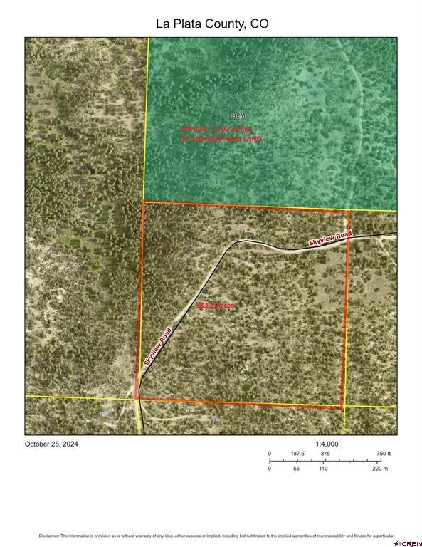 Aerial parcel map marking an approximately 38.81-acre lot along Skyview Road in La Plata County.