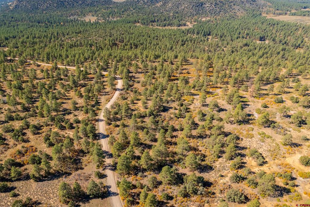 Aerial view of a wooded lot with a winding dirt road and forested hills.
