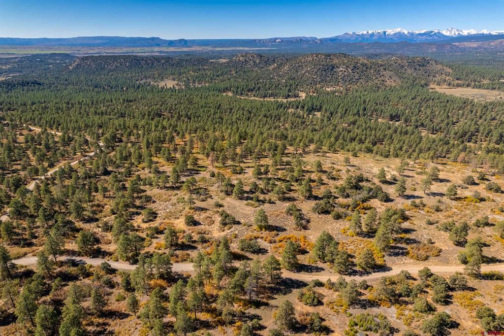 Wooded ranch parcel with dirt roads and distant snow-capped mountains.