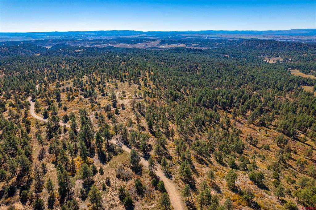 Aerial view of wooded acreage with dirt roads and distant mountain ranges.