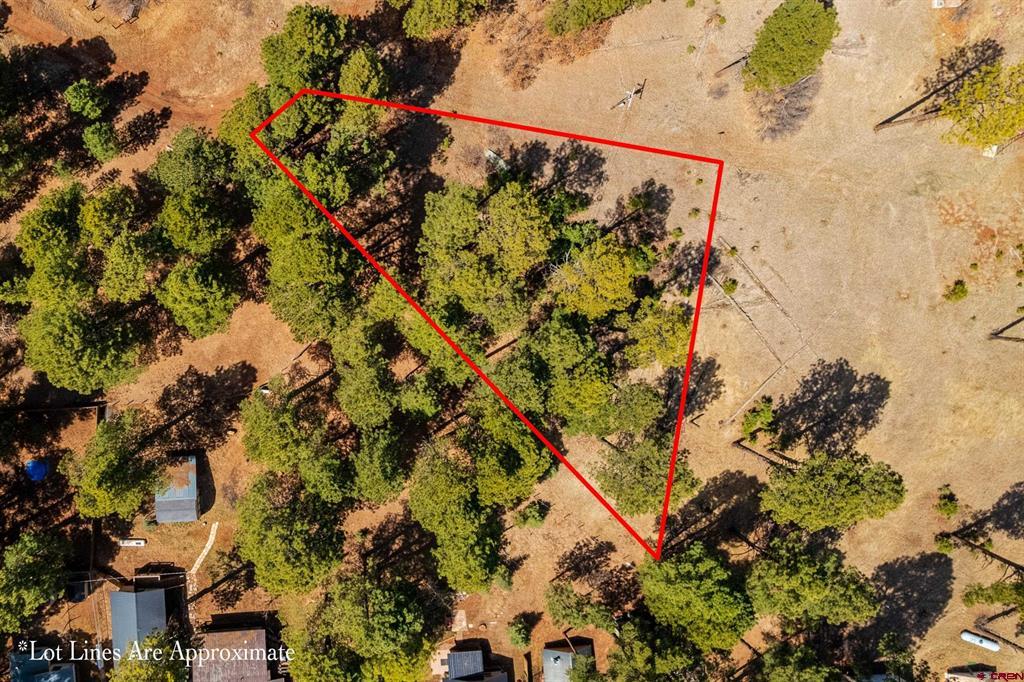 113 Pine Drive