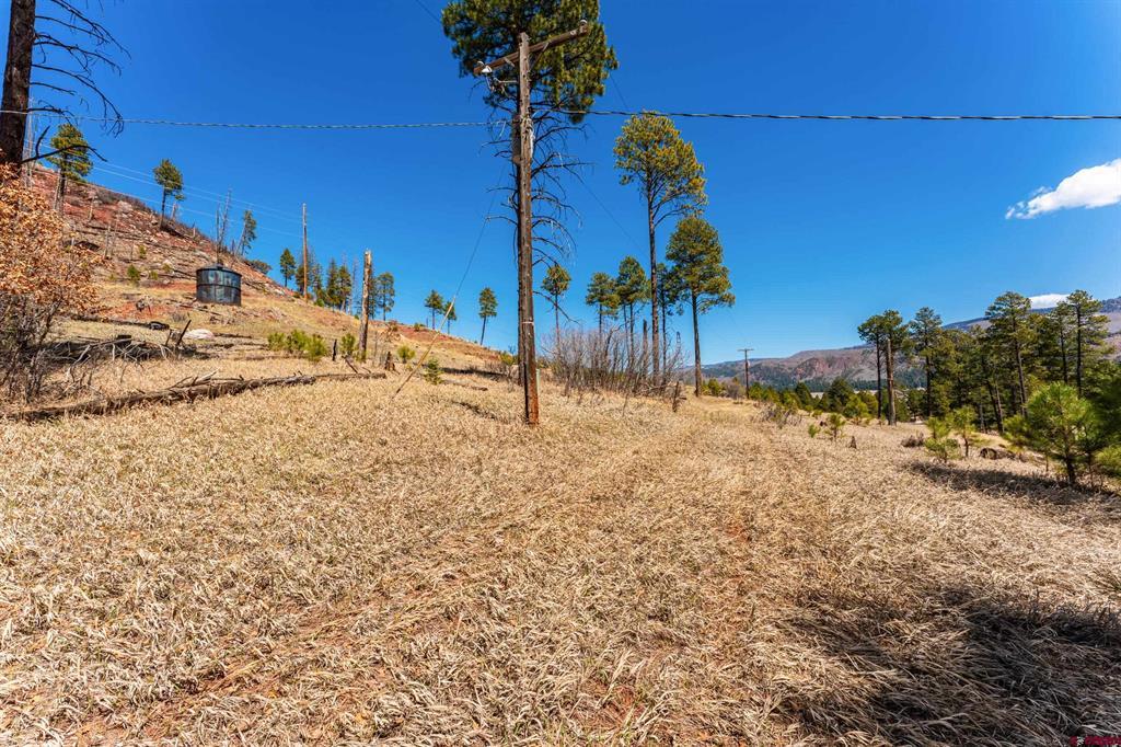 103 Pine Drive