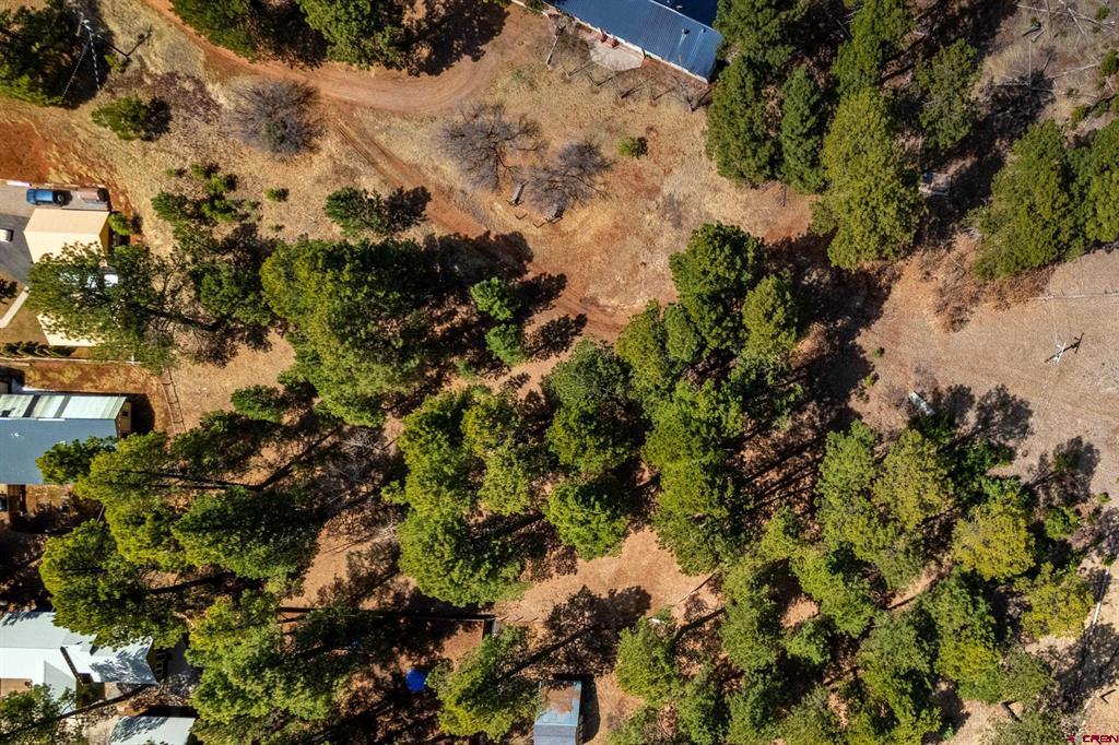 116 Pine Drive