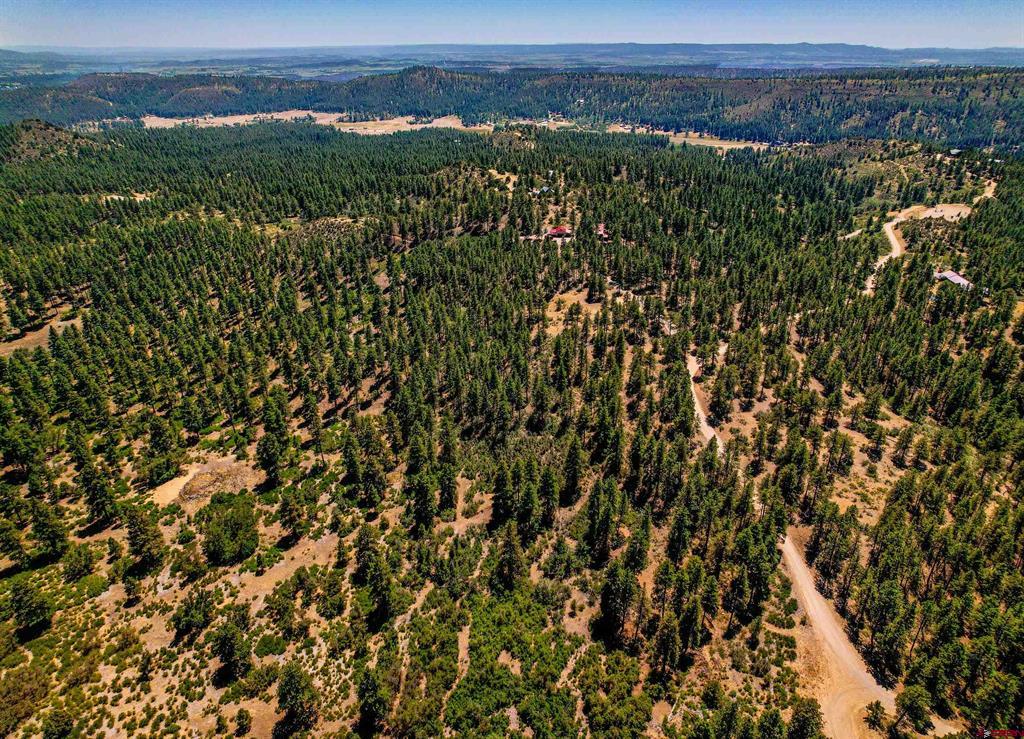 111 Windy Ridge Road