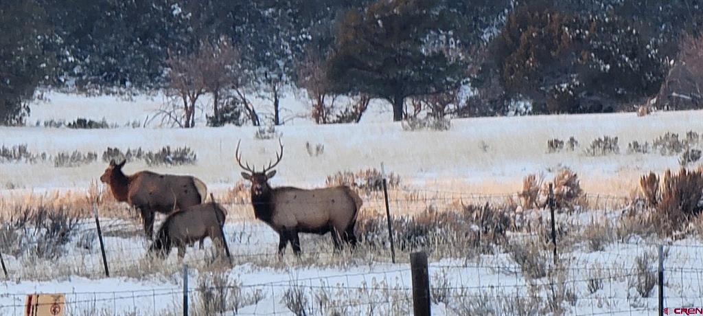 4915 County Road 510