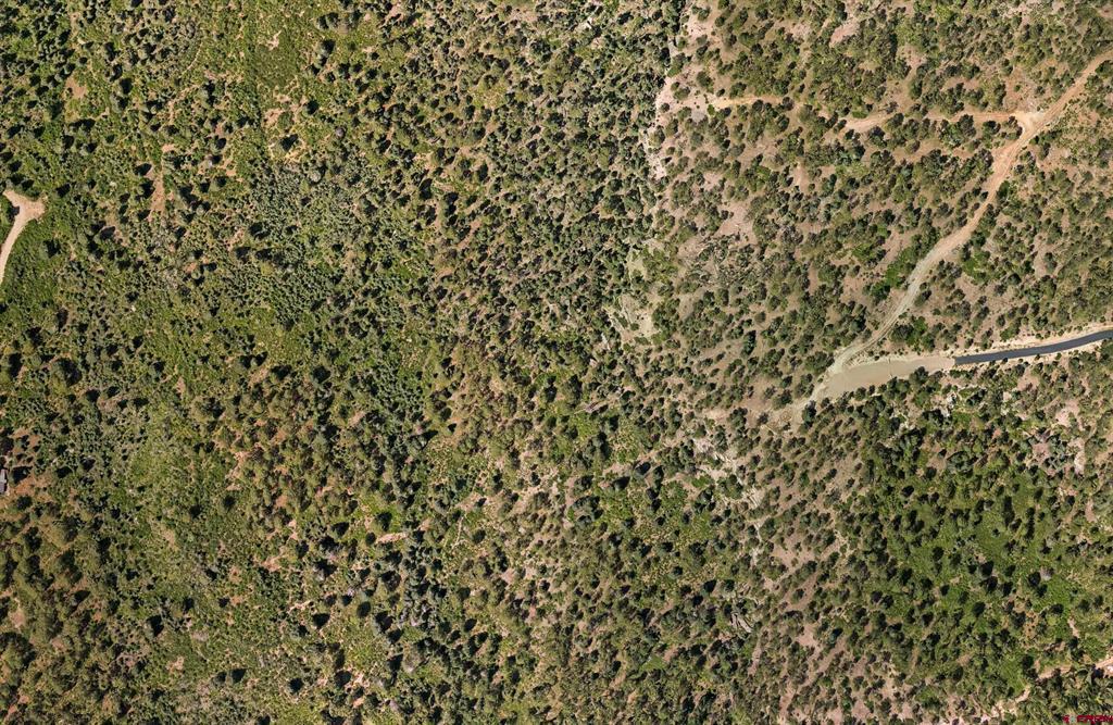 Aerial view of wooded, brush-covered land beside a curving road.
