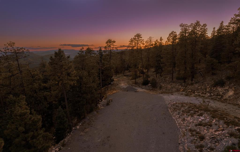Gravel access road winds through pine-covered terrain toward distant mountains at sunset.