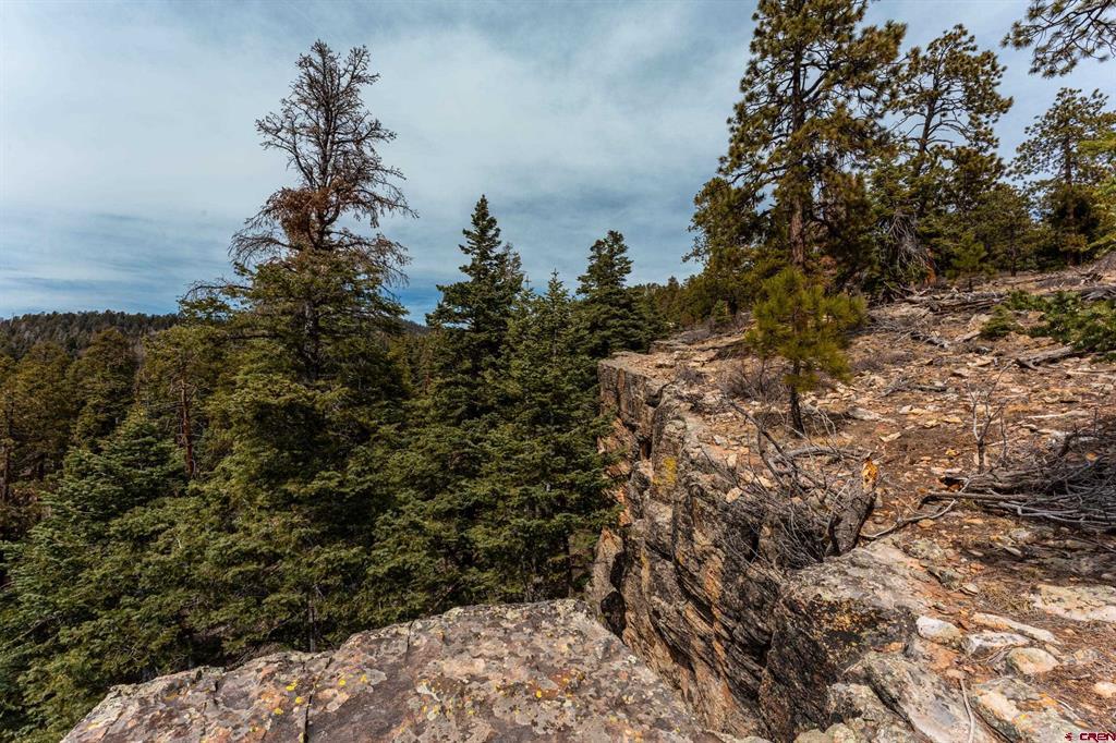 Rocky hillside lot overlooking a wooded valley, with exposed stone and evergreen trees.