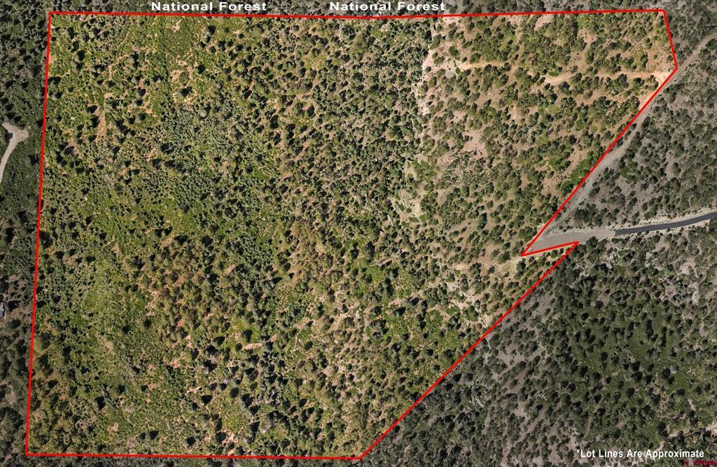 Aerial view of wooded Lot 15 parcel outlined in red beside National Forest.