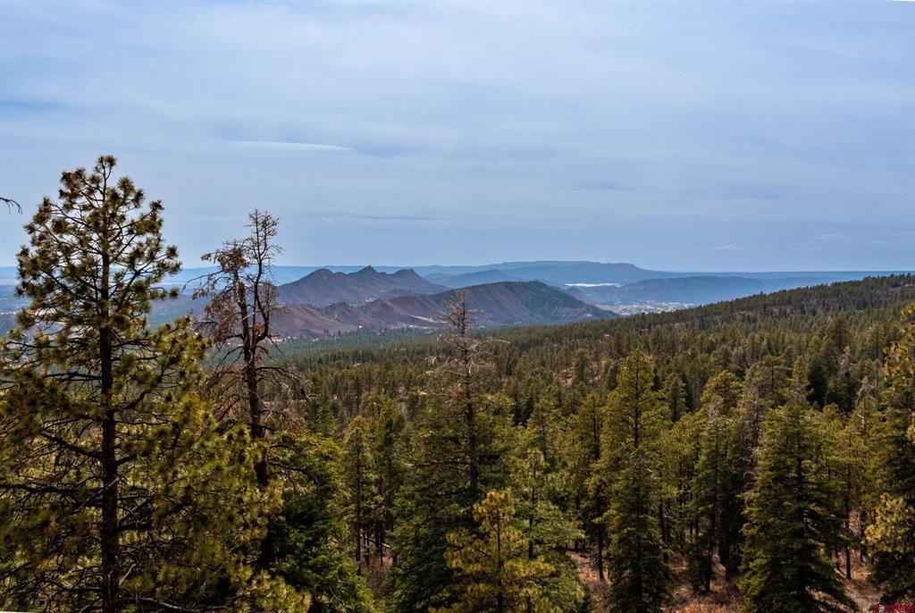 Wooded vacant land overlooking forested mountain ridges.