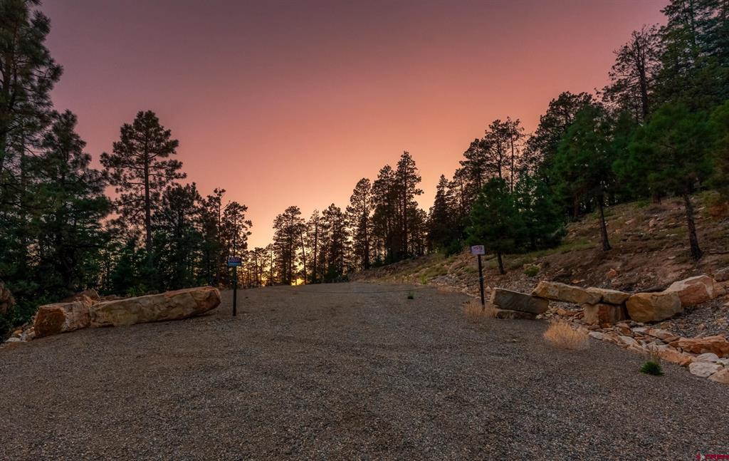 Gravel entrance to a vacant wooded lot beneath a pink dusk sky.
