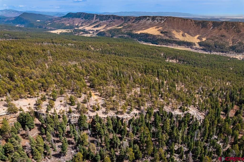 Aerial view of a wooded vacant lot with rocky clearings and distant mountains.
