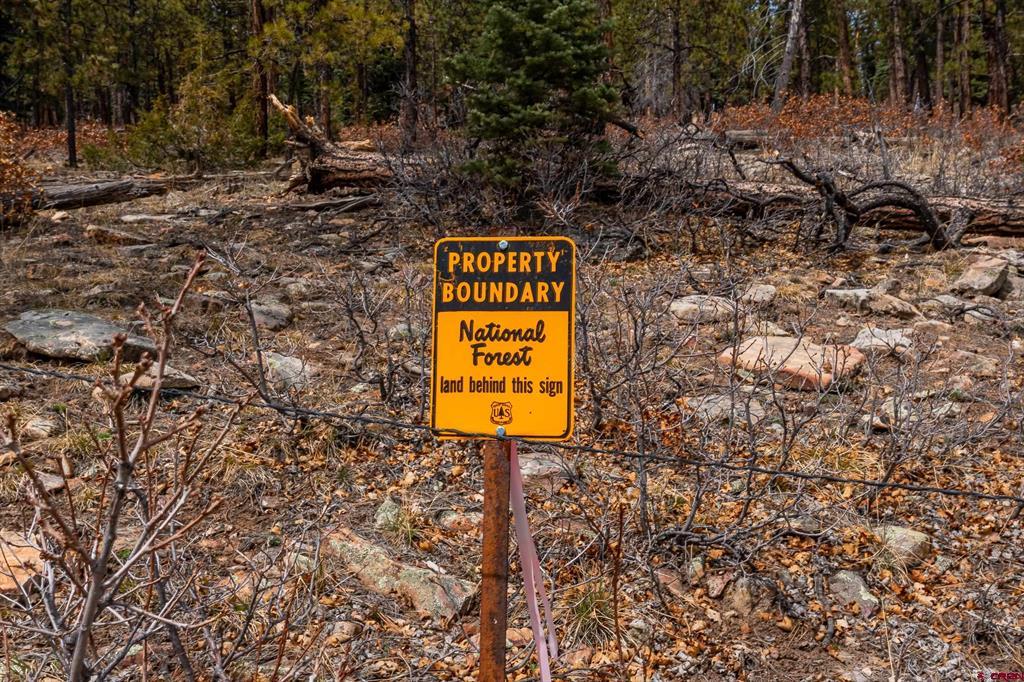 Rocky wooded property with an orange boundary sign marking National Forest land beyond the fence.